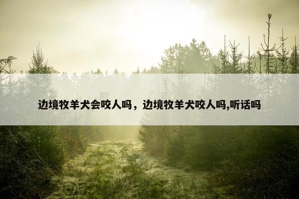 边境牧羊犬会咬人吗，边境牧羊犬咬人吗,听话吗