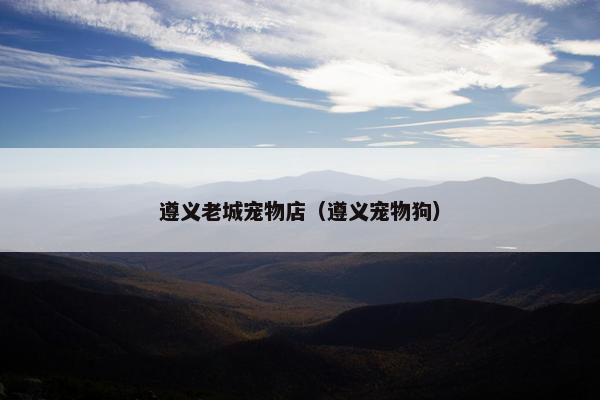 遵义老城宠物店（遵义宠物狗）