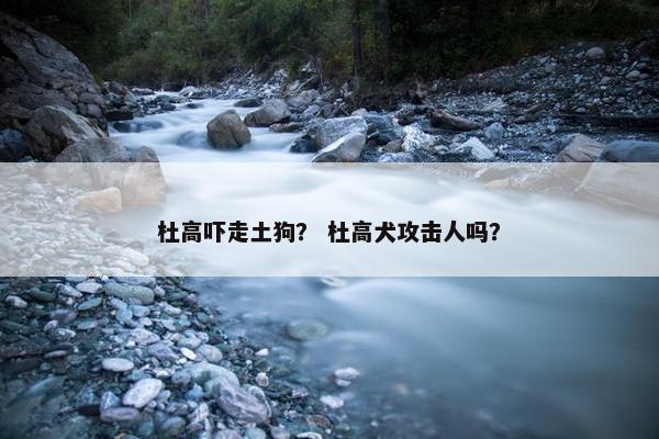 杜高吓走土狗？ 杜高犬攻击人吗？