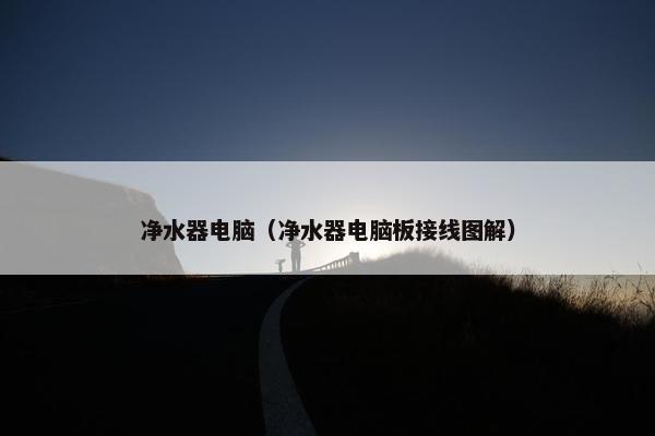 净水器电脑（净水器电脑板接线图解）