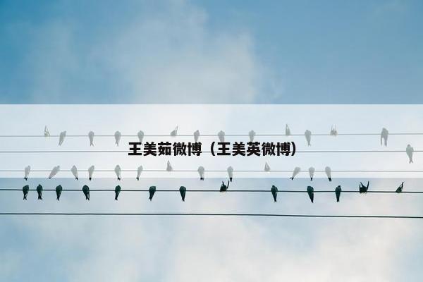 王美茹微博（王美英微博）