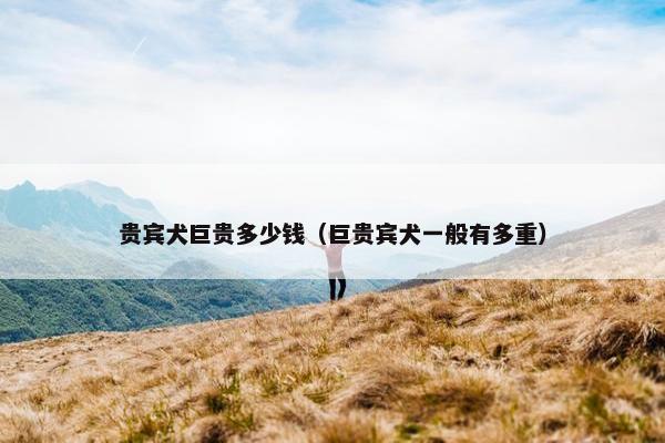 贵宾犬巨贵多少钱（巨贵宾犬一般有多重）