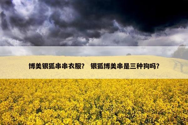 博美银狐串串衣服？ 银狐博美串是三种狗吗？