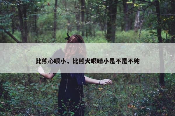 比熊心眼小，比熊犬眼睛小是不是不纯
