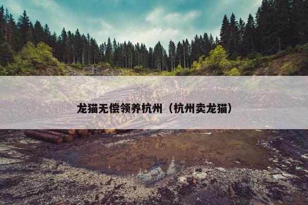 龙猫无偿领养杭州（杭州卖龙猫）