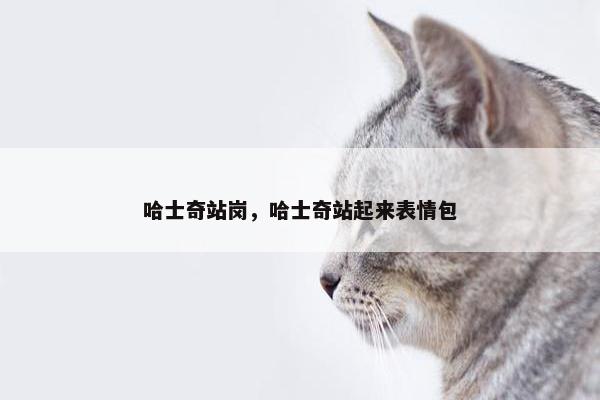 哈士奇站岗，哈士奇站起来表情包