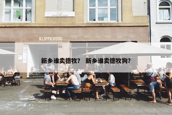 新乡谁卖德牧？ 新乡谁卖德牧狗？