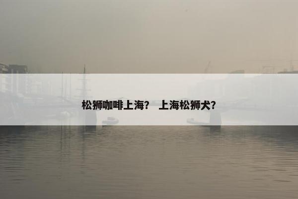 松狮咖啡上海？ 上海松狮犬？