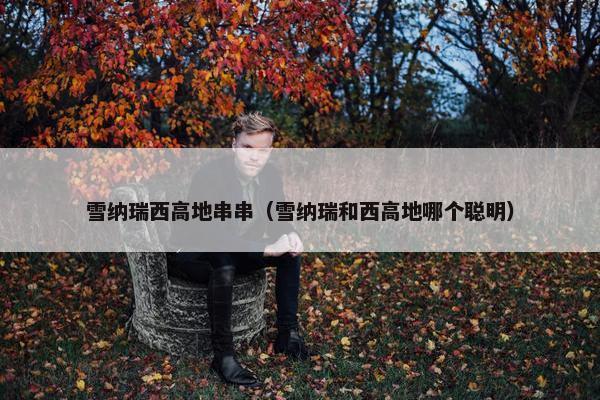 雪纳瑞西高地串串（雪纳瑞和西高地哪个聪明）