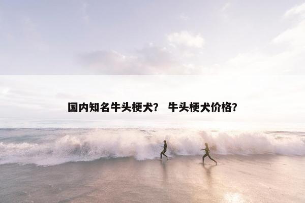 国内知名牛头梗犬？ 牛头梗犬价格？