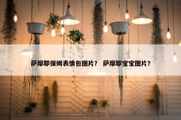 萨摩耶保姆表情包图片？ 萨摩耶宝宝图片？