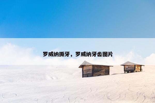 罗威纳撕牙，罗威纳牙齿图片