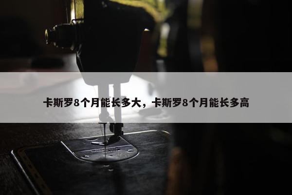 卡斯罗8个月能长多大，卡斯罗8个月能长多高