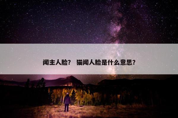 闻主人脸？ 猫闻人脸是什么意思？