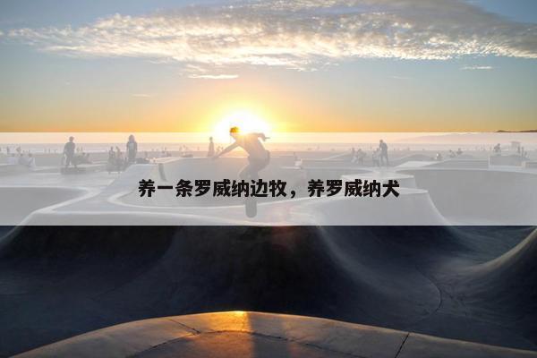 养一条罗威纳边牧，养罗威纳犬