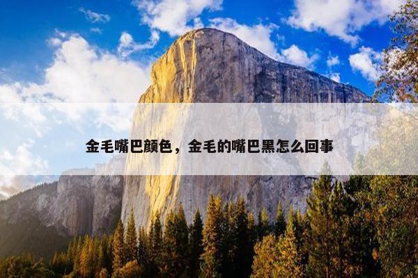 金毛嘴巴颜色，金毛的嘴巴黑怎么回事