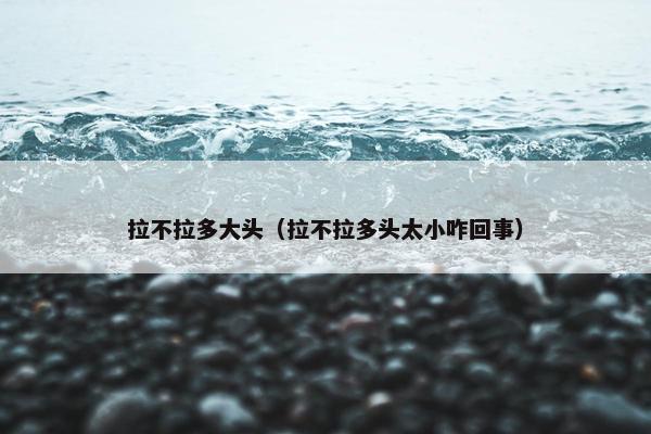 拉不拉多大头（拉不拉多头太小咋回事）