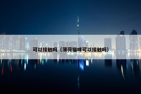 可以接触吗（薄荷猫咪可以接触吗）