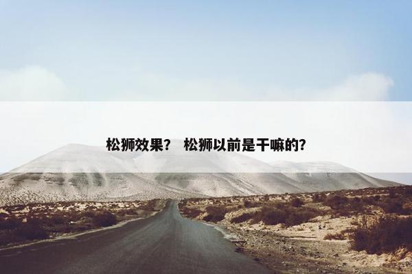 松狮效果？ 松狮以前是干嘛的？