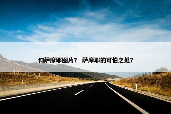 狗萨摩耶图片？ 萨摩耶的可怕之处？
