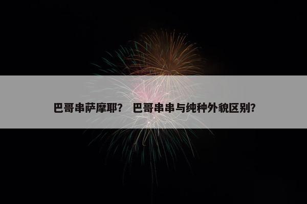 巴哥串萨摩耶？ 巴哥串串与纯种外貌区别？