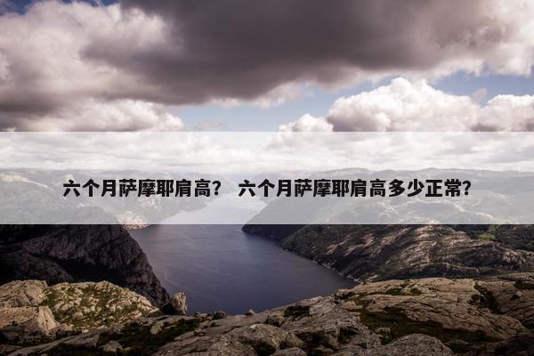 六个月萨摩耶肩高？ 六个月萨摩耶肩高多少正常？
