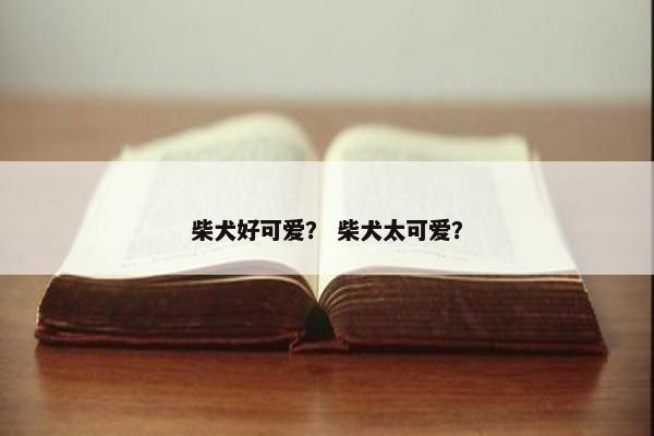 柴犬好可爱？ 柴犬太可爱？