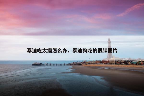 泰迪吃太瘦怎么办，泰迪狗吃的很胖图片