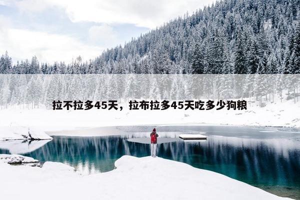 拉不拉多45天，拉布拉多45天吃多少狗粮