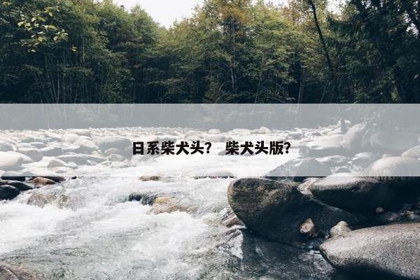日系柴犬头？ 柴犬头版？