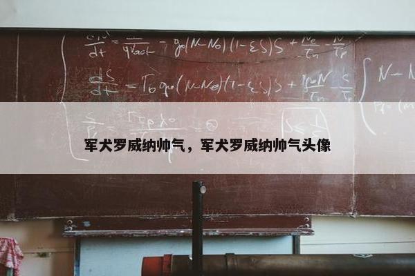 军犬罗威纳帅气，军犬罗威纳帅气头像