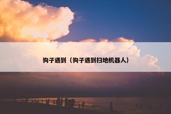 狗子遇到（狗子遇到扫地机器人）