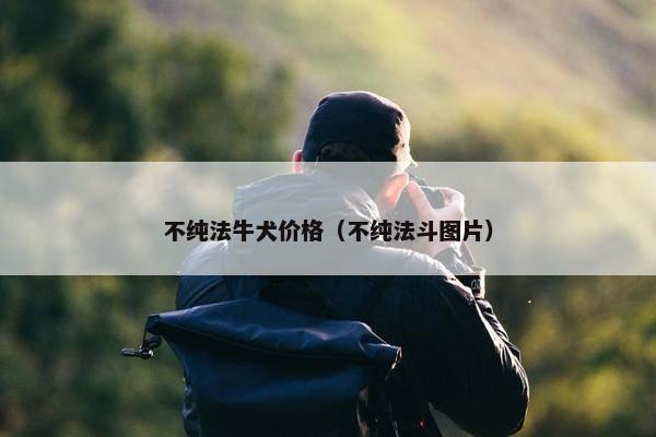 不纯法牛犬价格（不纯法斗图片）