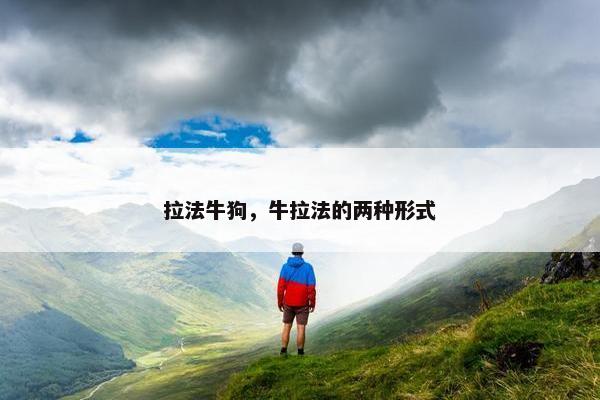 拉法牛狗，牛拉法的两种形式