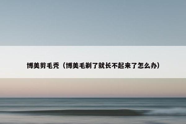 博美剪毛秃（博美毛剃了就长不起来了怎么办）