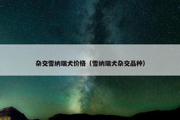 杂交雪纳瑞犬价格（雪纳瑞犬杂交品种）