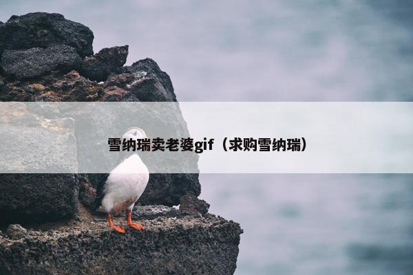 雪纳瑞卖老婆gif（求购雪纳瑞）