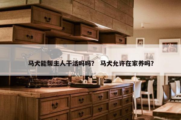 马犬能帮主人干活吗吗？ 马犬允许在家养吗？