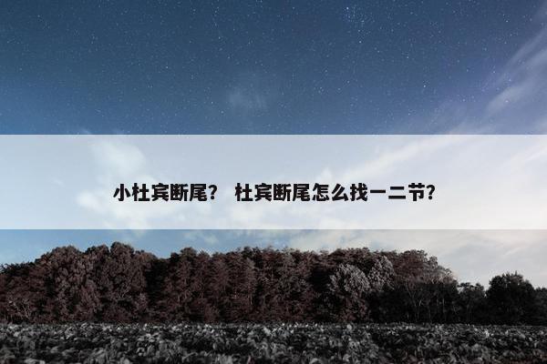 小杜宾断尾？ 杜宾断尾怎么找一二节？
