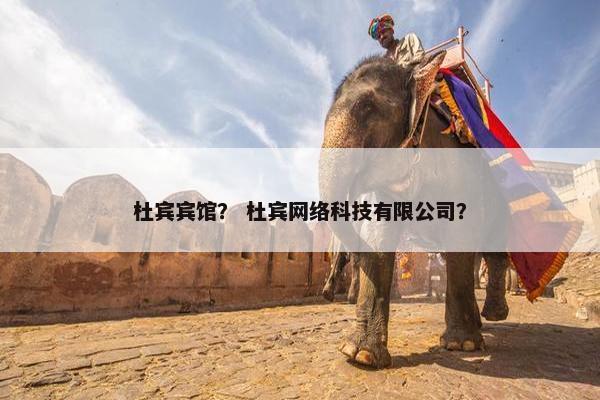 杜宾宾馆？ 杜宾网络科技有限公司？