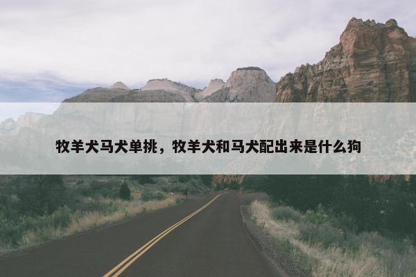 牧羊犬马犬单挑，牧羊犬和马犬配出来是什么狗