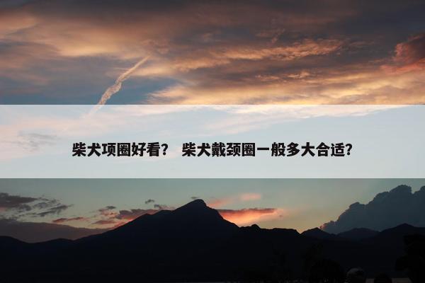 柴犬项圈好看？ 柴犬戴颈圈一般多大合适？