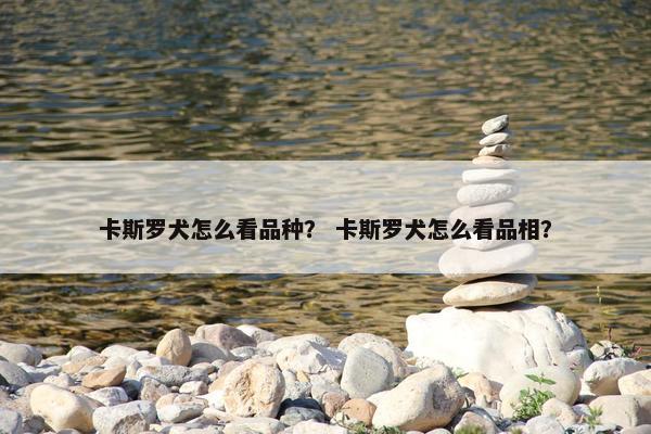 卡斯罗犬怎么看品种？ 卡斯罗犬怎么看品相？