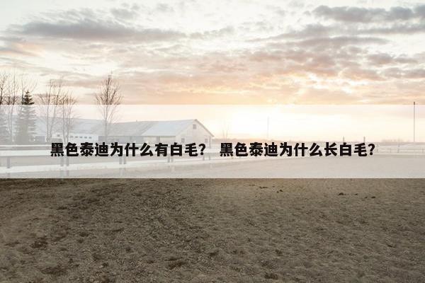 黑色泰迪为什么有白毛？ 黑色泰迪为什么长白毛？
