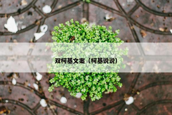 双柯基文案（柯基说说）