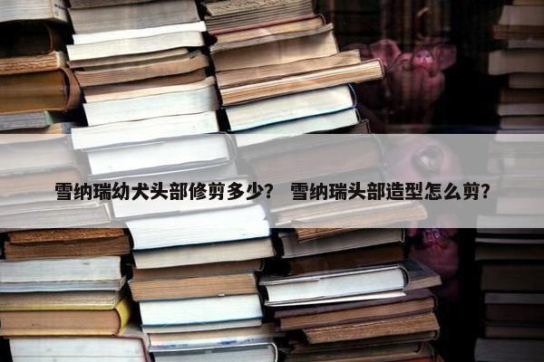 雪纳瑞幼犬头部修剪多少？ 雪纳瑞头部造型怎么剪？