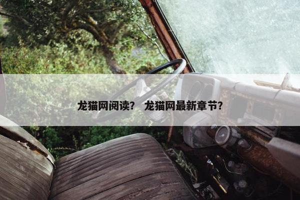 龙猫网阅读？ 龙猫网最新章节？