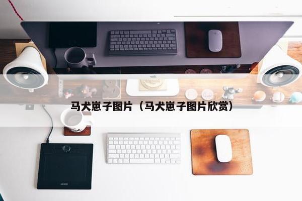 马犬崽子图片（马犬崽子图片欣赏）