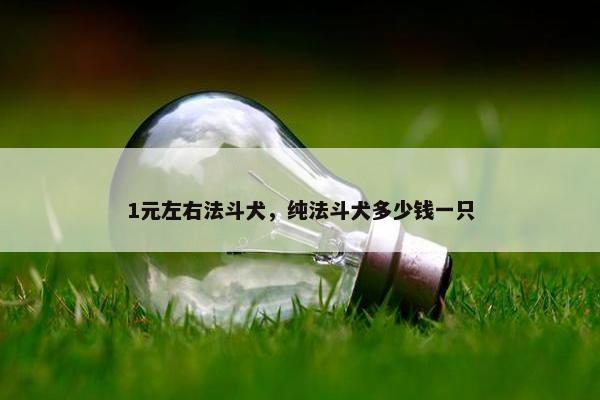 1元左右法斗犬，纯法斗犬多少钱一只