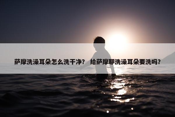 萨摩洗澡耳朵怎么洗干净？ 给萨摩耶洗澡耳朵要洗吗？